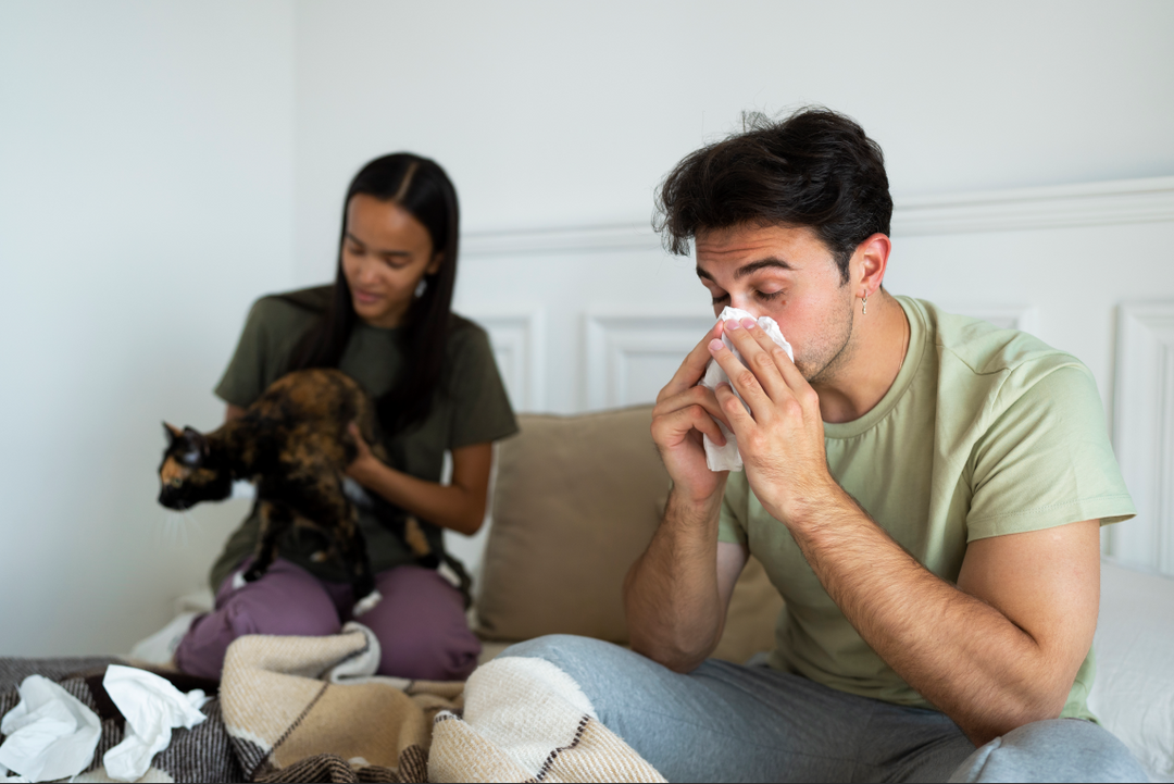 2026 Complete Spring Cleaning Guide: Breathe Easier with a Deep Clean