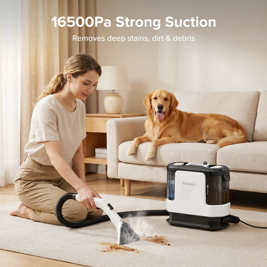 A woman kneels on a beige carpet in a living room, using a white and black Nebulova steam cleaner to remove stains. A golden retriever dog is lying on a cream sofa in the background, with text at the top reading '16500Pa Strong Suction'.