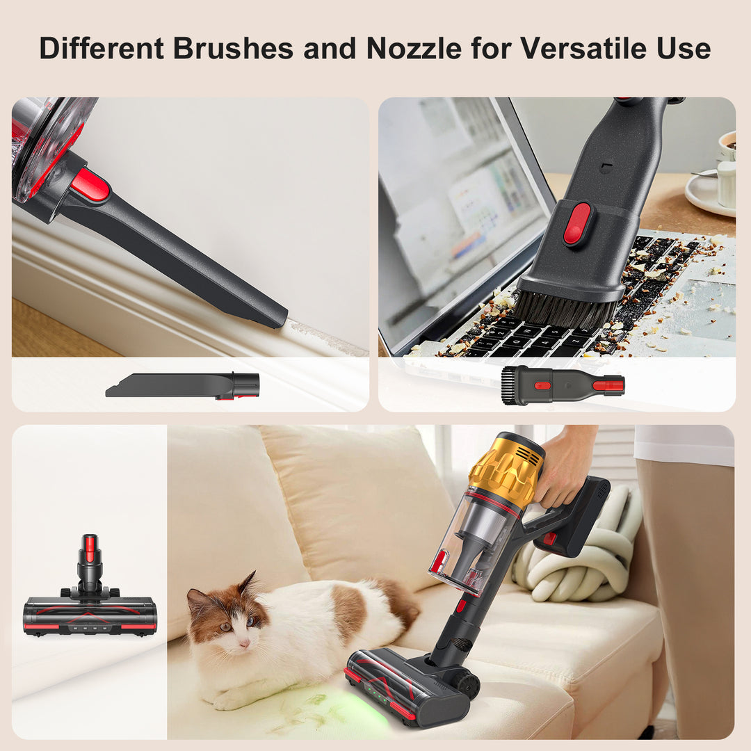 Different Brushes and Nozzle for Versatile Use